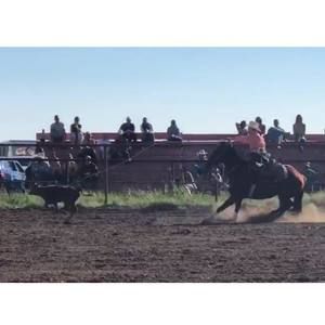 Meet your Posher, Quaid